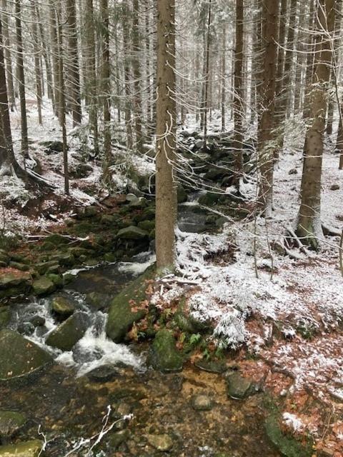 Апартаменты Harrachov 702 Экстерьер фото